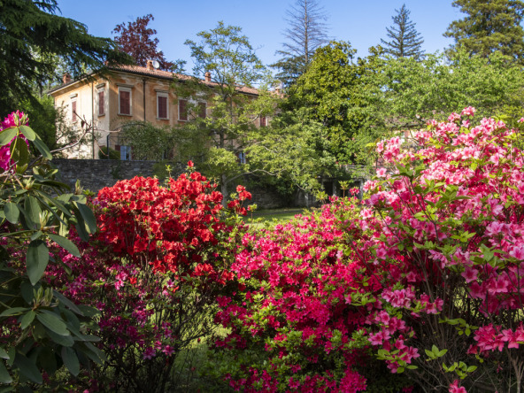 Casa Padronale.LR-8